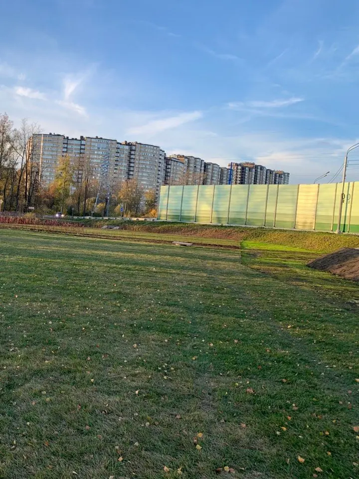 Укладка рулонного газона и посевной газон