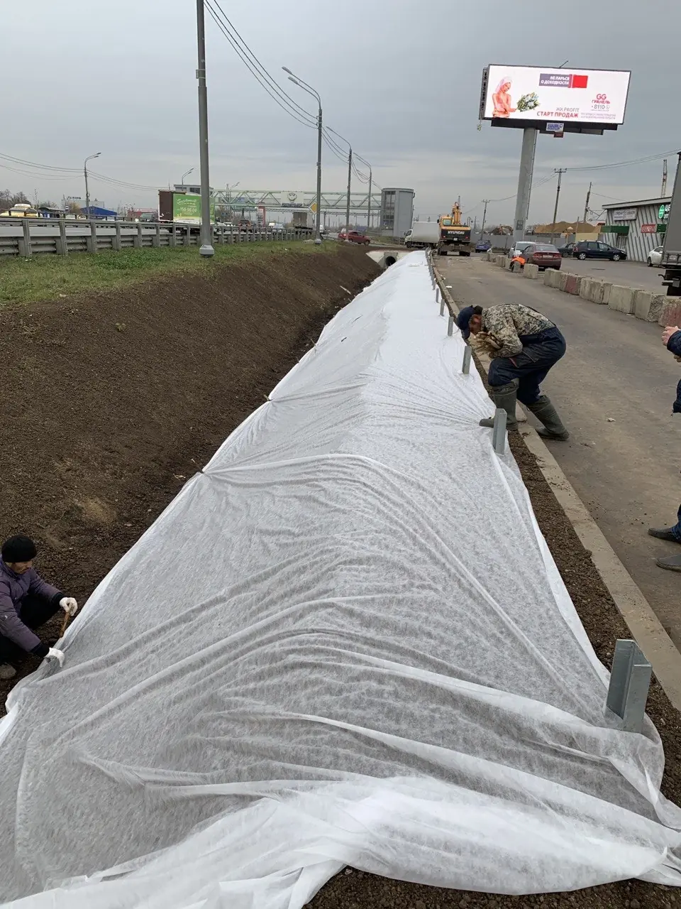 Посевной газон на откосах