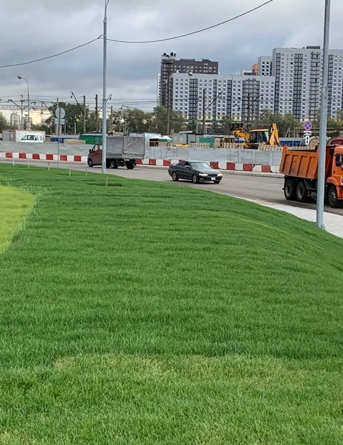 Вырубка деревьев под дорогу 7 га