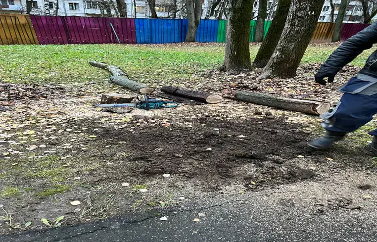 Вывоз и переработка порубочных остатков на участке школы 1708 — утилизация древесины