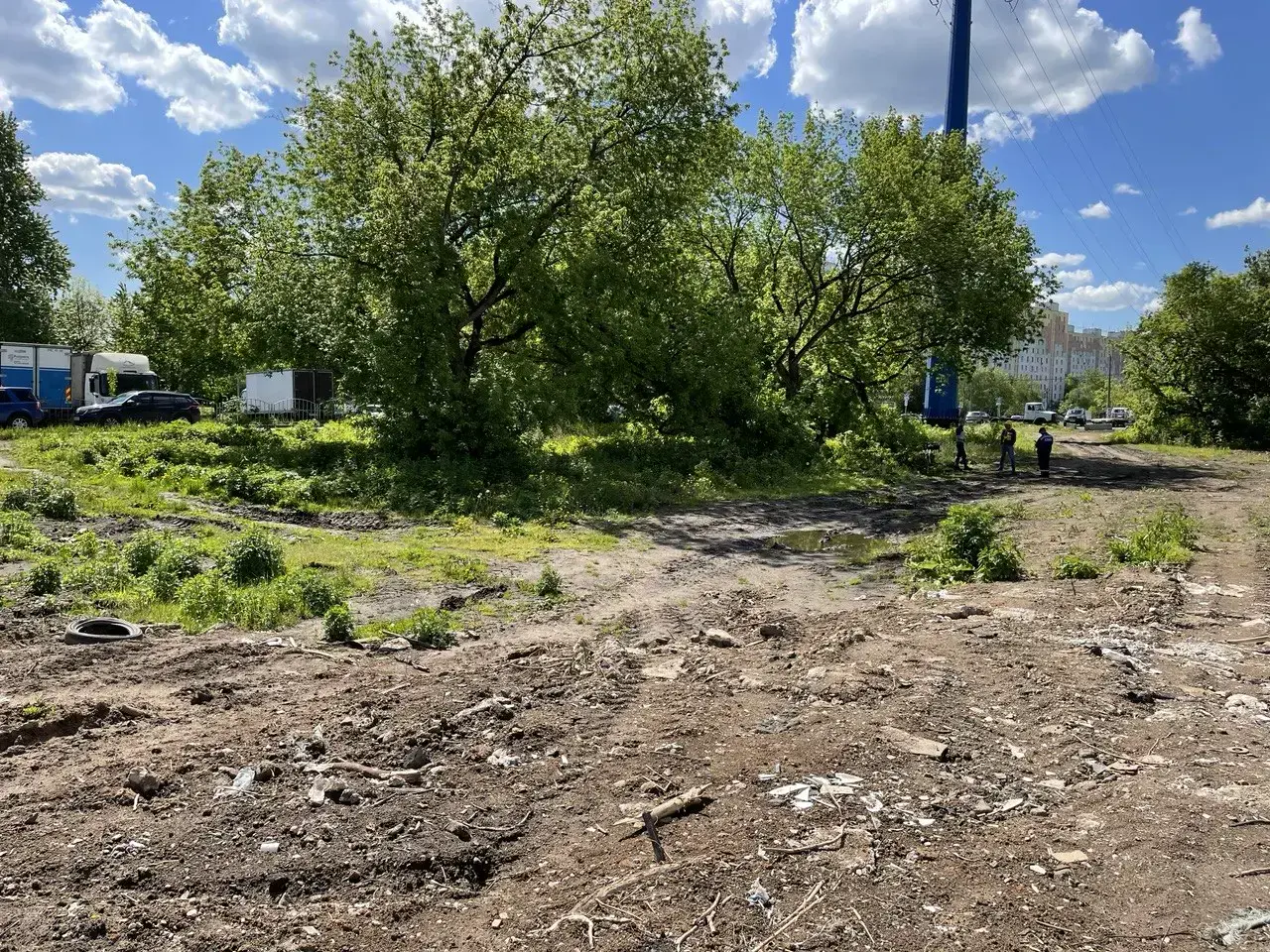 Планировка парковой зоны и новые пешеходные маршруты